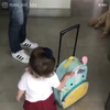 小女孩从小和狗狗一起长大，今天她要和狗狗分开去上学了，狗狗一脸的不开心，于是小女孩上去给了它一个大抱抱