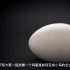2分钟看完鸡蛋如何变成小鸡的的全过程，鸡蛋如何孵化成小鸡