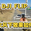 DJI FLIP的飞行日记