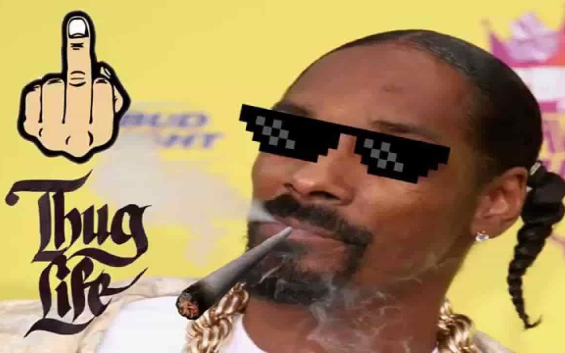 thug life,thug life 素材 国外无限暴徒人生搞笑集锦ultimate thug life compilation 「油管