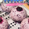 告别单调白馒头，加入蓝莓和牛奶改良口感，成品蓬松香甜，全家都喜欢吃#蓝莓馒头 #下饭小孩菜大赏 #蓝莓馒头做法 #美食教程