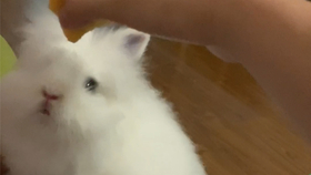 5c408139f7ba6dea77ede33a2bd601192808c1f5.jpg@280w_158h_1c_100q.jpg