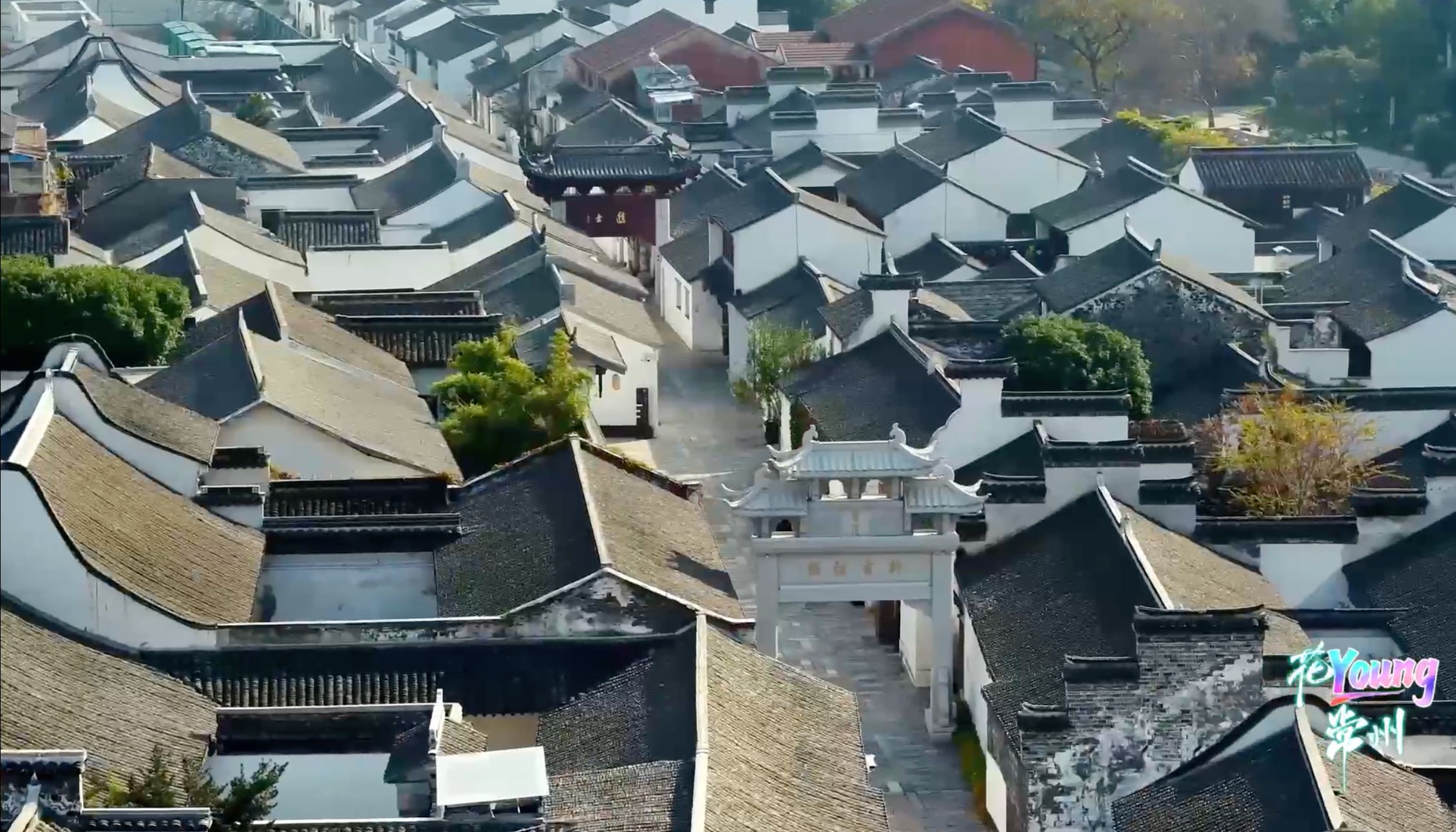 #一条青果巷半部常州史 沉浸式#打卡常州青果巷 #遇见美好