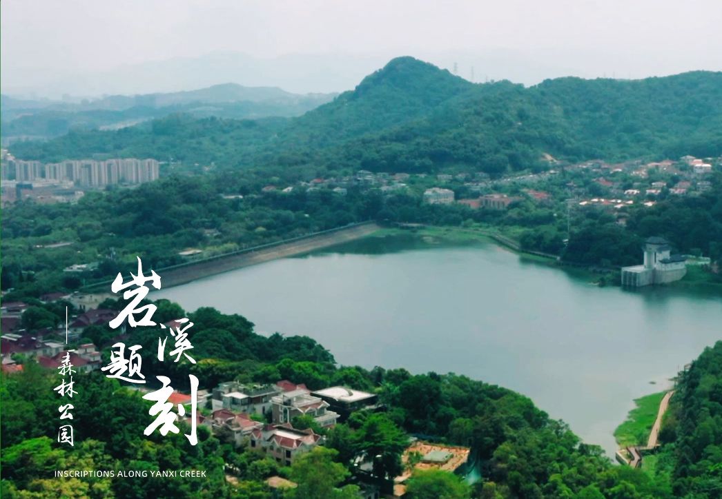 《古厝会说话》第三季第9集：岩溪题刻