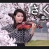 さくら（樱） 森山直太朗 violin cover by momo