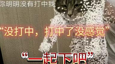 《真人cs<em class="keyword">吃橡皮</em>果后……》