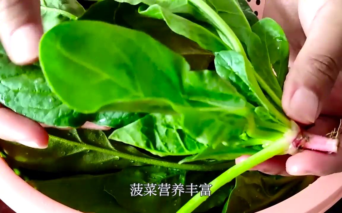 小雪后要多吃菠菜,教你营养新吃法,不炒不凉拌,全家都爱吃