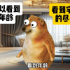 两个超能力选一个，可以看到任何东西的年龄