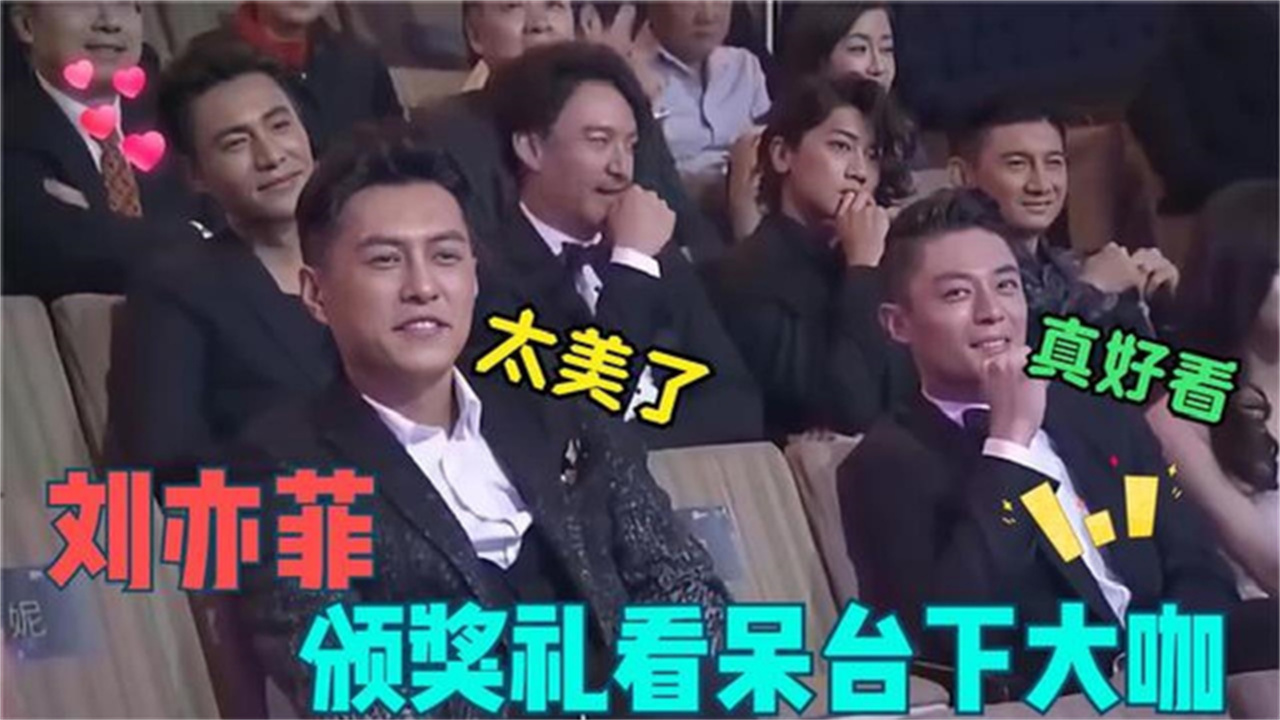 33岁刘亦菲到底多迷人出席颁奖典礼好似走秀，台下观众看呆了