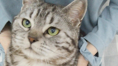 翻牌是什么东西 5caba926375be72fddfa12475f3db0978a49ffd0.png@480w_270h_1c