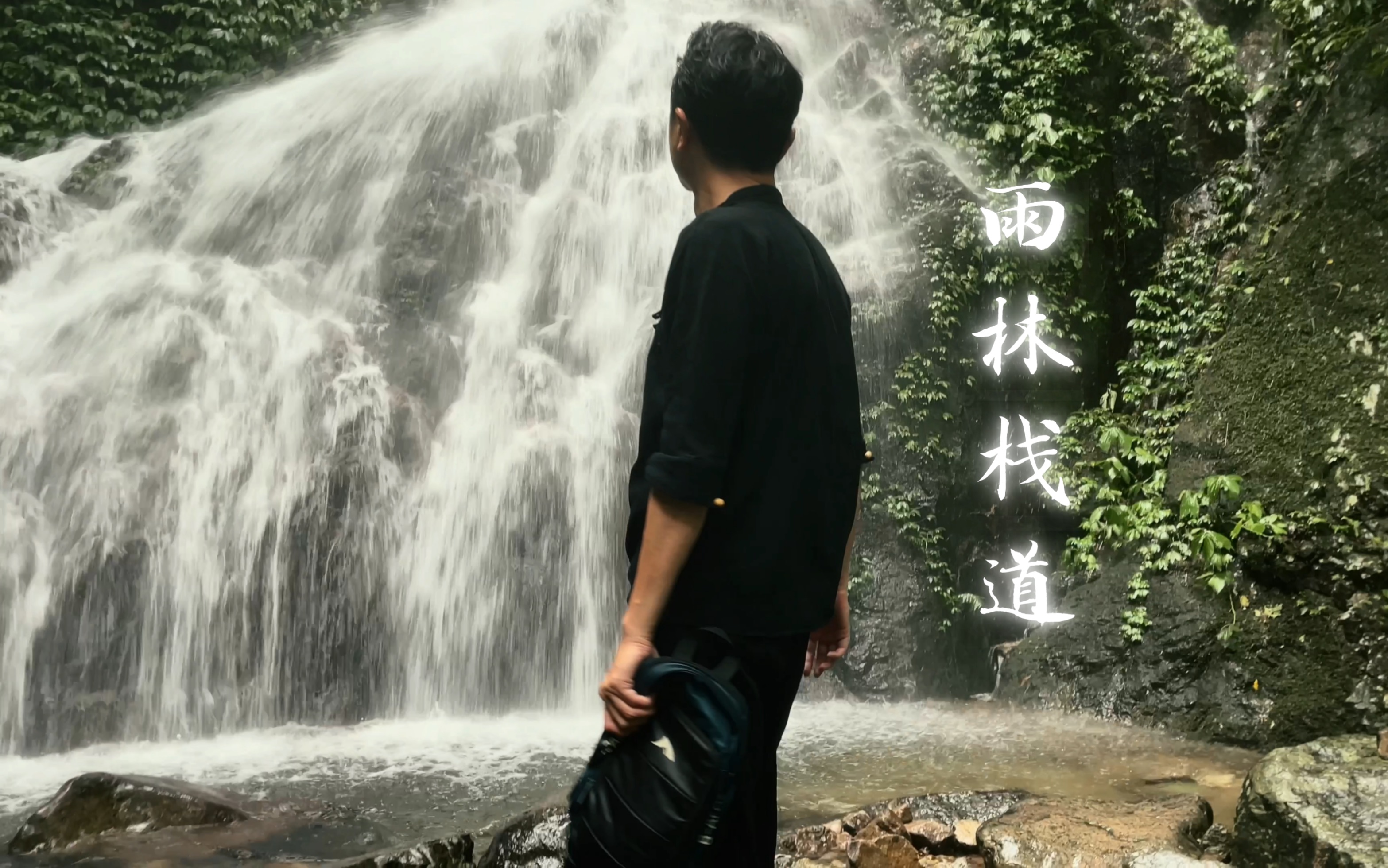 漫步雨林栈道，独享夏日清凉｜海南五指山热带雨林国家公园