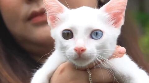 5cbef2e6c4065b052adf52100ad62ed49f6fbe67.jpg@480w_270h_1c