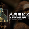 从猿进化成人，人类经历了什么