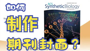 一分钟带你了解如何<em class="keyword">制作</em>一张高水平<em class="keyword">SCI期刊封面图</em>