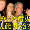 民粹大反噬：死爱泼斯坦裂解活MAGA