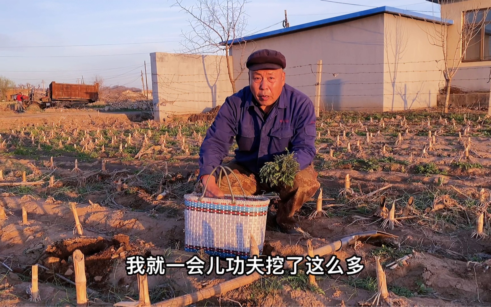 东北的野菜漫山遍野，大爷挖一大筐回家炒鸡蛋，没想到味道绝了，太香了