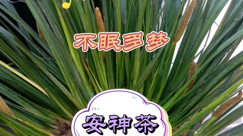5cff2641518c0815baae92f96ffa26f4515cd559.png@480w_270h_1c