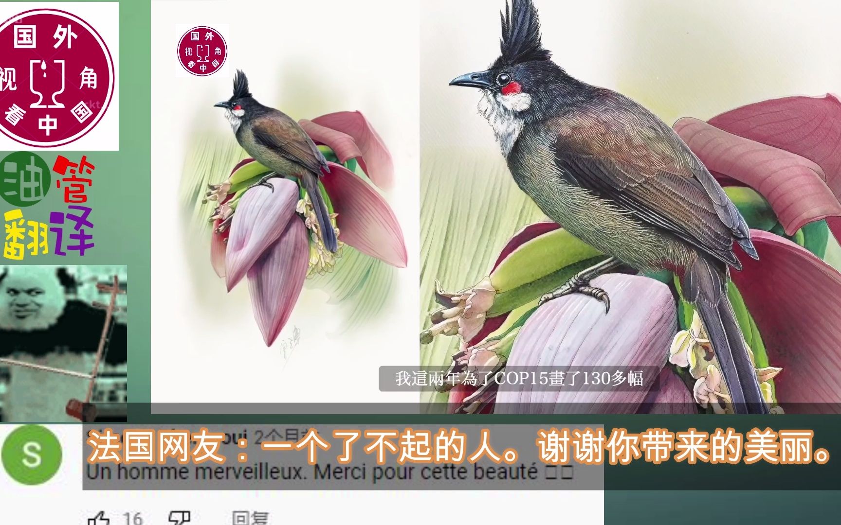 外国网友盛赞中国植物画第一人花鸟画已入化境，韩国网友表示不服！