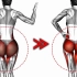 减小屁股/提升臀线/改善臀型的针对训练