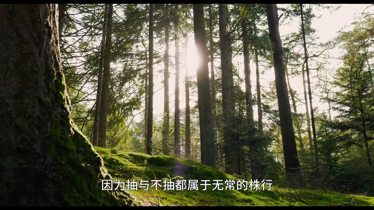 如何拔除我们身上的各种恶业习气？以色见我，以音声求我，不能见如来！