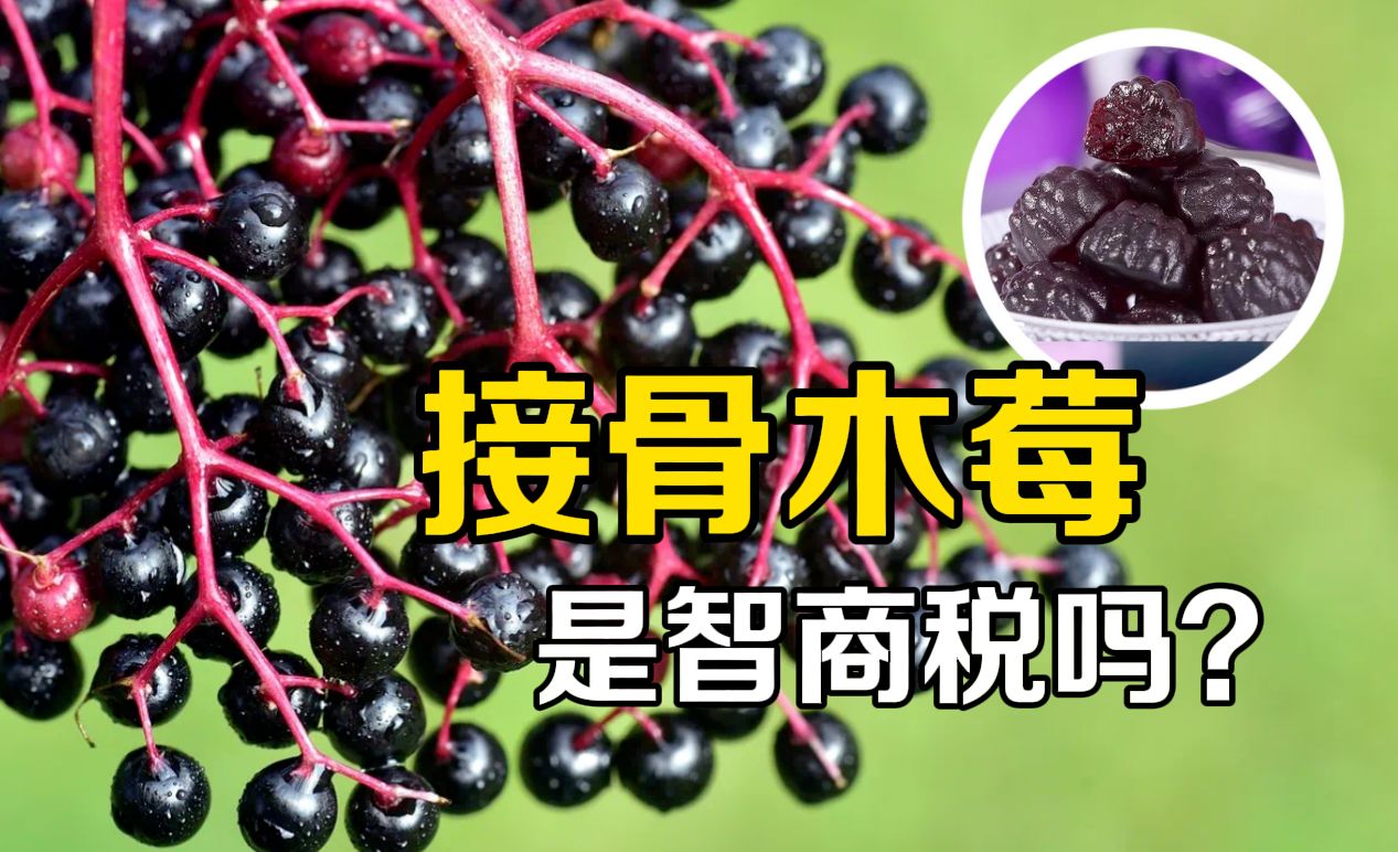 最近火起来的它，在智商税圈排得上号吗？