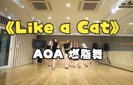 《Like a Cat》AOA_燃脂舞，运动，舞蹈，瘦身，日常