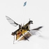 世界首个切断电源飞行的机器人，重达190毫克，与苍蝇一般大小！