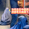 女性生在中国真幸福！感谢毛主席换了人间