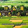 什么是生态农场，它的价值和意义是什么