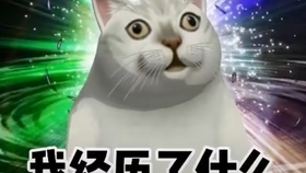 如何逆天翻盘 5d89c5bb49d148dfe70affa9c72ff16539d18e9e.jpg@280w_158h_1c_100q.jpg