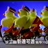 【中国台湾广告】【放送文化】1992年台湾华视广告合集 画质差