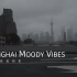 【催眠】上海街头白噪音空镜 Shanghai Moody Vibes 4k  h264