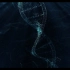 d604 炫酷蓝色DNA线条基因组运动生物化学HUD元素科技感计算机互联网大数据视频素材ae后期视频合成特效素材