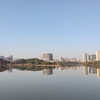 黄冈遗爱湖公园2 大洲竹影景区