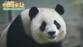 到底什么才是爱呢bgm 5dd8008e96c2445d8a8d9b53b73c23ab05bf1945.jpg@280w_158h_1c_100q.jpg