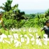 台湾电影《太阳的孩子》主题曲《不要放弃》 (阿美族語/国语版)