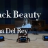 百万级装备听《Black Beauty》- Lana Del Rey【Hi-Res】