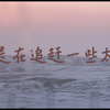 快乐收集器