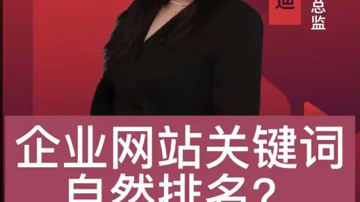 企业网站关键词自然排名#seo优化