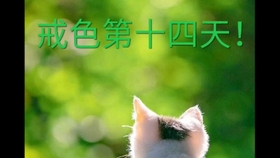 天天宅家睡觉有什么危害 5e40ab8f1c795778c831e714a7f23aa3fe812982.jpg@280w_158h_1c_100q.jpg