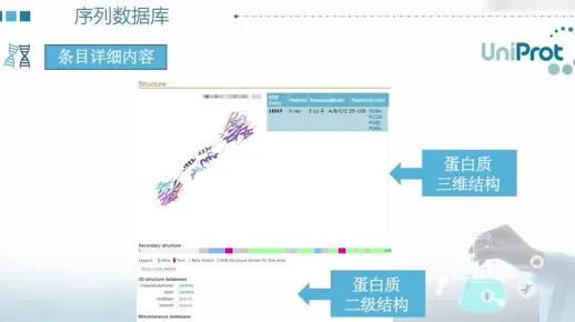 【生信】蛋白质数据库， uniprot序列数据库，蛋白质结构数据库，PDB(Protein Data Bank)，