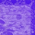 《F.T.W》 - 龍胆紫