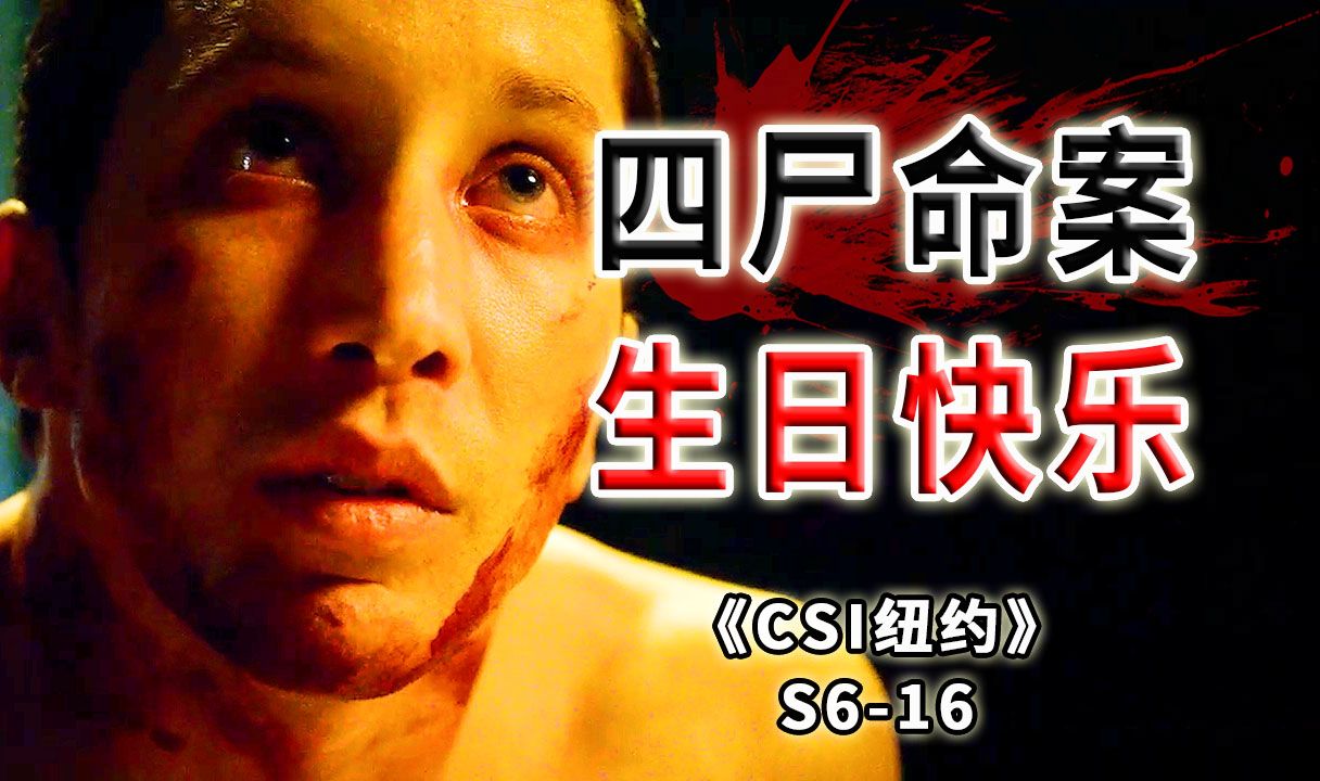 屠杀惊魂夜！生日变忌日，说了多少遍，路边的野花不要采《CSI纽约》S6-16