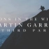 Martin Garrix - Lions In The Wild (feat. Third Party) [中英字幕]