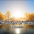 世界名曲《The Sound Of Silence寂静之声 》柔美女声版，平缓悠扬 心灵无比安适～
