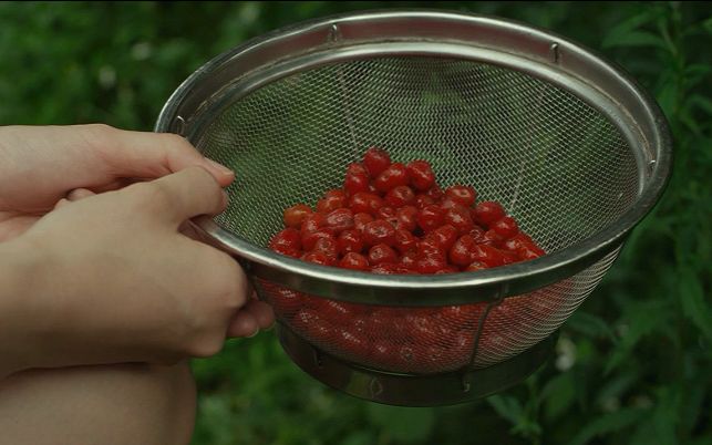 最新视频列表 - 哔哩哔哩 (゜-゜)つロ 干杯~-bil