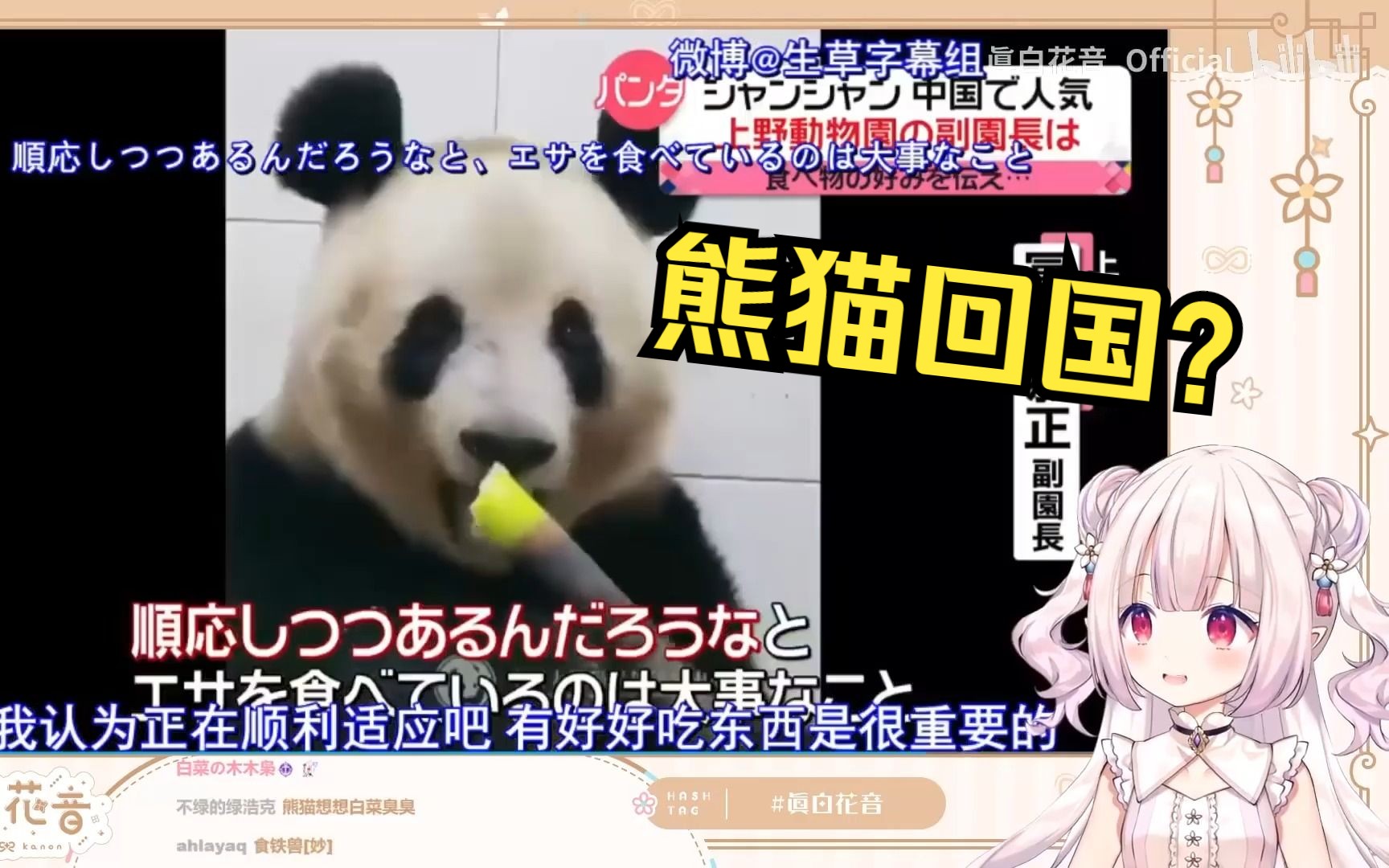 日本萝莉看日本报道中国的熊猫回国后的现状