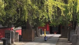 多少岁不可以去寺庙 5ee6072ac6f94a7c1d917cf507c3b3f22d8ca2cd.jpg@280w_158h_1c_100q.jpg