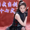 中国武当剑二十七式