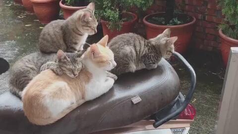 5f02f90a5af9731d3badb741f32c40e9ac8b96e1.jpg@480w_270h_1c